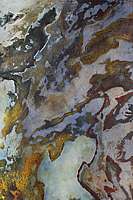 erdleben III 2014 oel auf pvc 50 x 33,5 cm