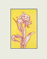 tulpe 3