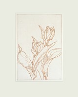 tulpe 9