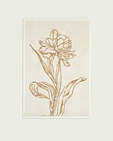 tulpe 10