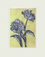 tulpe 19